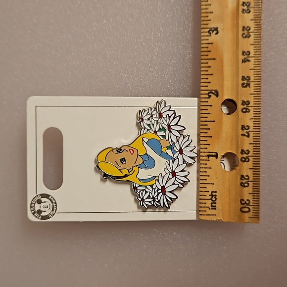 Disney Alice-in-Wonderland trading pin WDW collectible - Picture 2 of 6